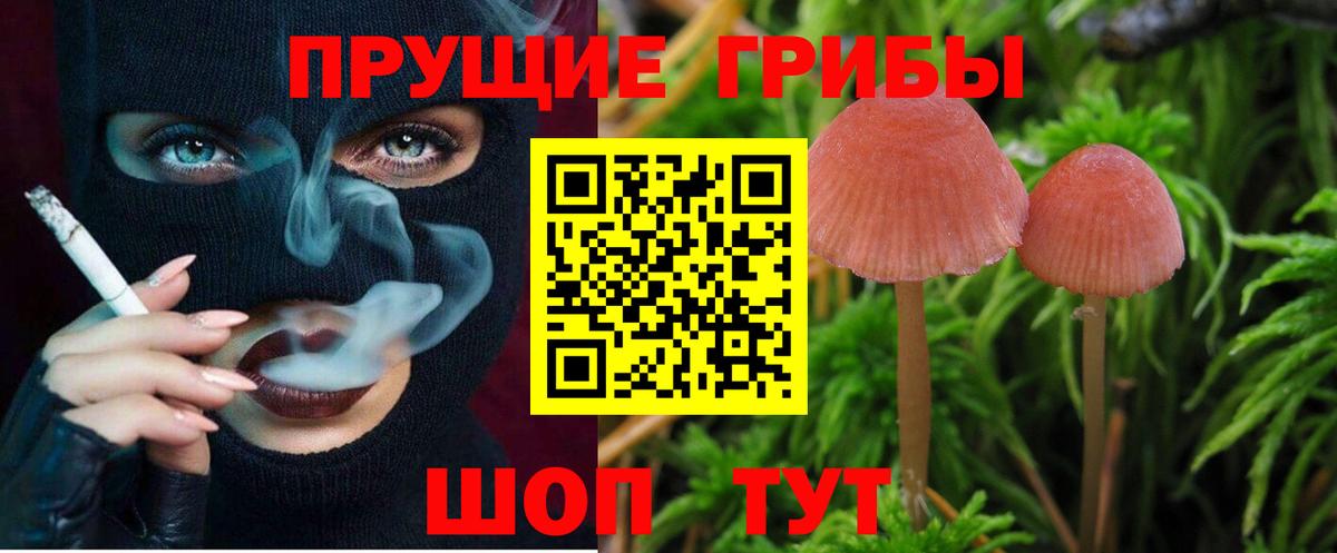 Галлюциногенные грибы Psilocybine cubensis  наркошоп  Тобольск  Вход с VPN 